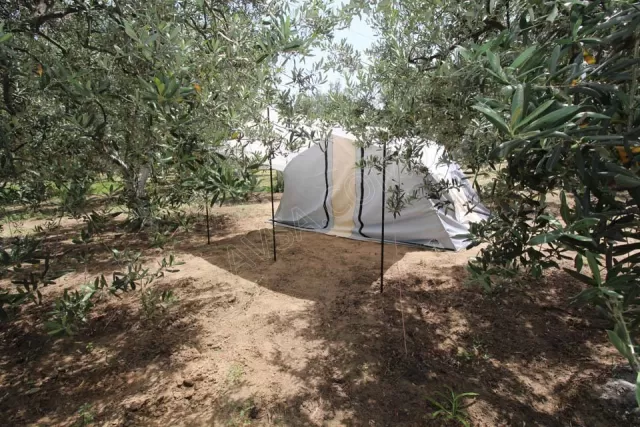 Kamp Alanı genel fotoğrafı 17