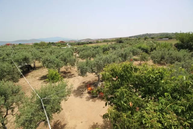 Kamp Alanı genel fotoğrafı 20