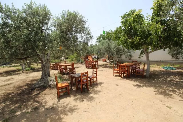 Kamp Alanı genel fotoğrafı 21