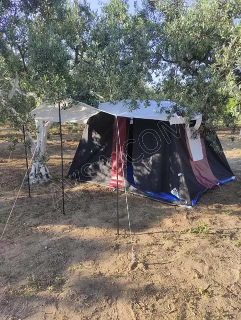 Kamp Alanı fotoğraf 3
