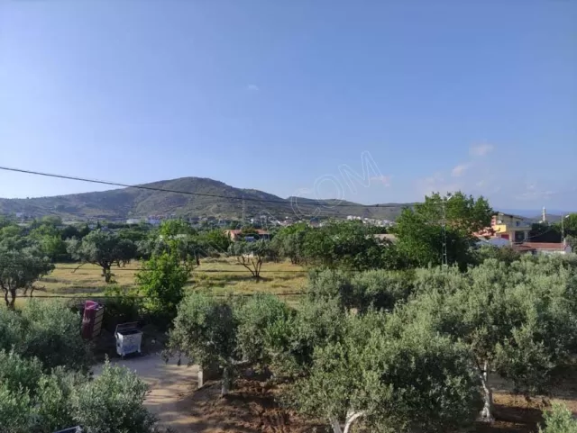 Kamp Alanı fotoğraf 4
