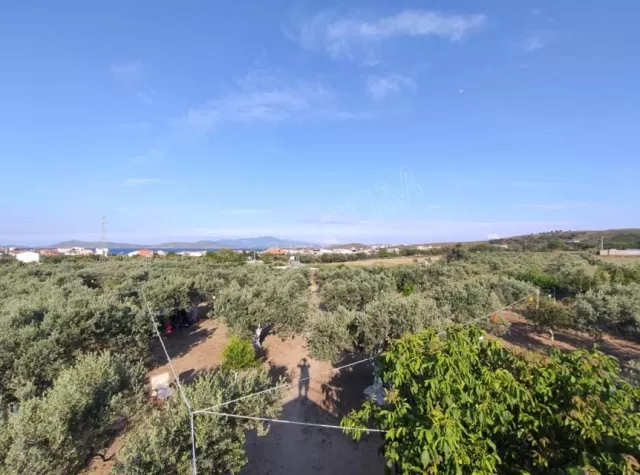 Kamp Alanı fotoğraf 5