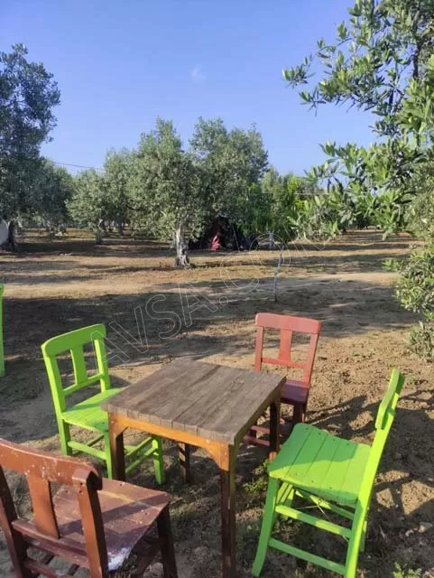 Kamp Alanı genel fotoğrafı 6