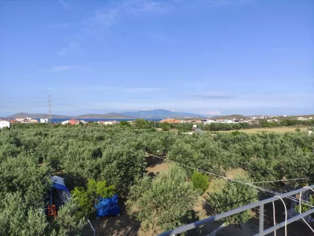 Kamp Alanı genel fotoğrafı 7