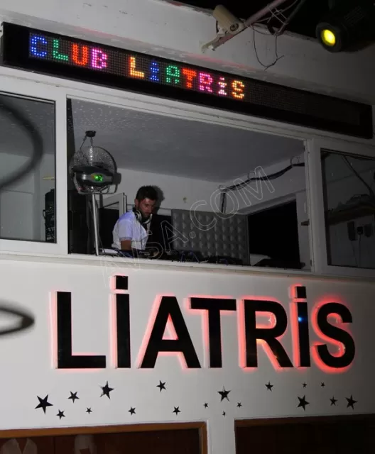 Avşa Liatris Disco