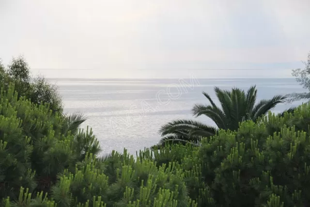 Blue Sea Otel genel fotoğrafı 34