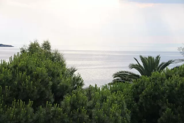 Blue Sea Otel genel fotoğrafı 40