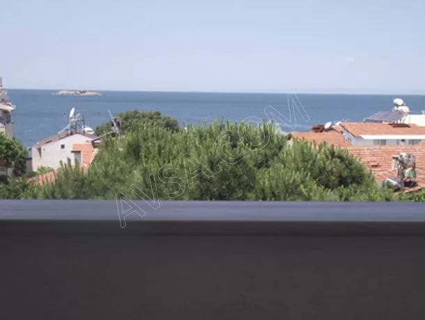 Avşa Selma Pansiyon genel fotoğrafı 20