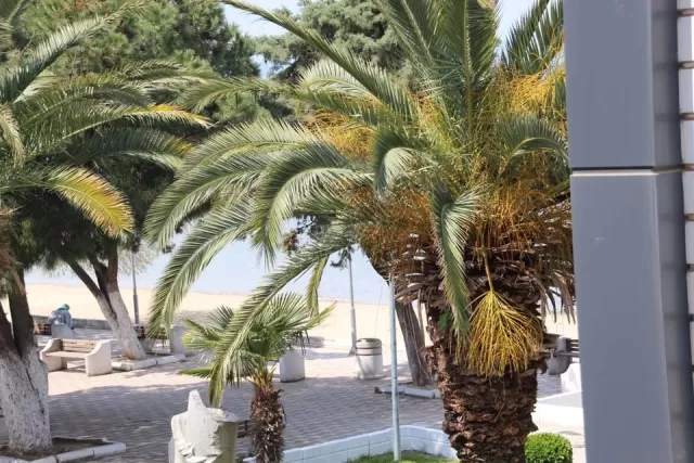 Yüksel Motel genel fotoğrafı 8