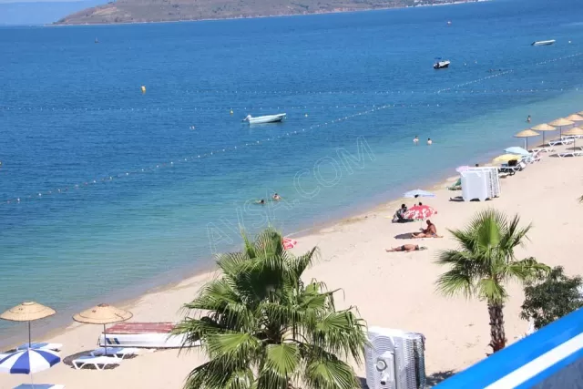 Yürekli Daire fotoğraf 2
