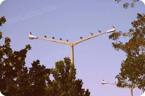 Avşa Fotoğrafları