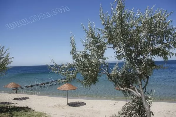 Avşa Fotoğrafları